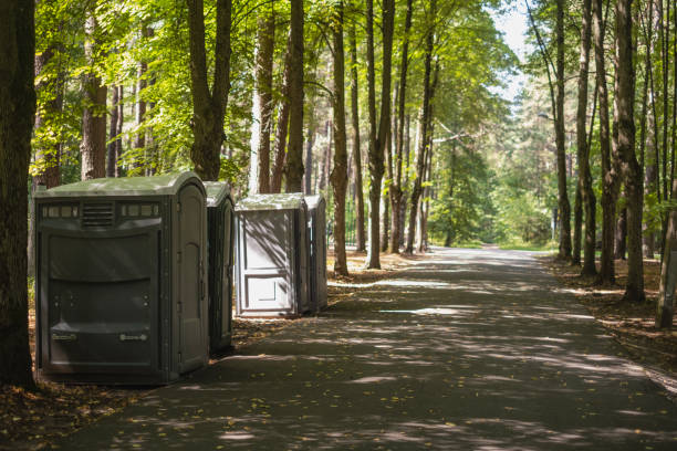 Best Affordable portable toilet rental  in Ellington, MO